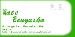 mate benyuska business card